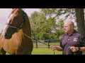 TIEA winner Larry McGinnis with Justify
