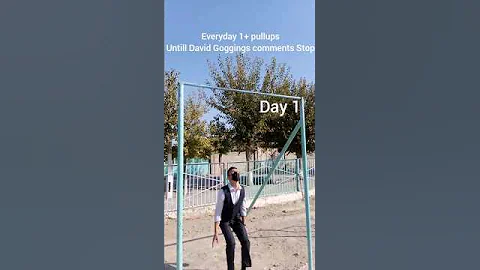 Day 1 Everyday 1+ pull-ups untill David Goggins comments stop