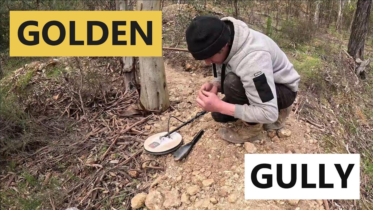 Эта область полна золота