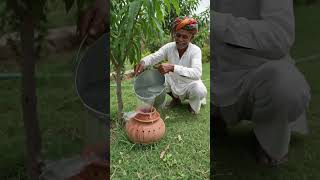 Ninja technique #tree #admin #pani #process
