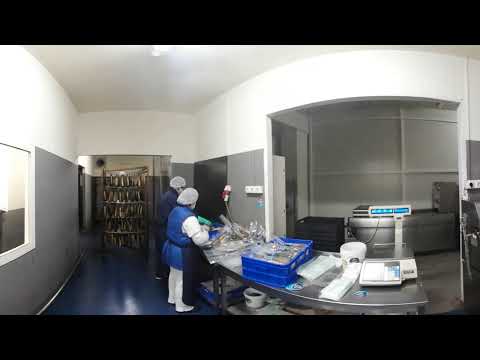 პროცესში