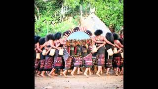 Te:i labu sole rae (2026)