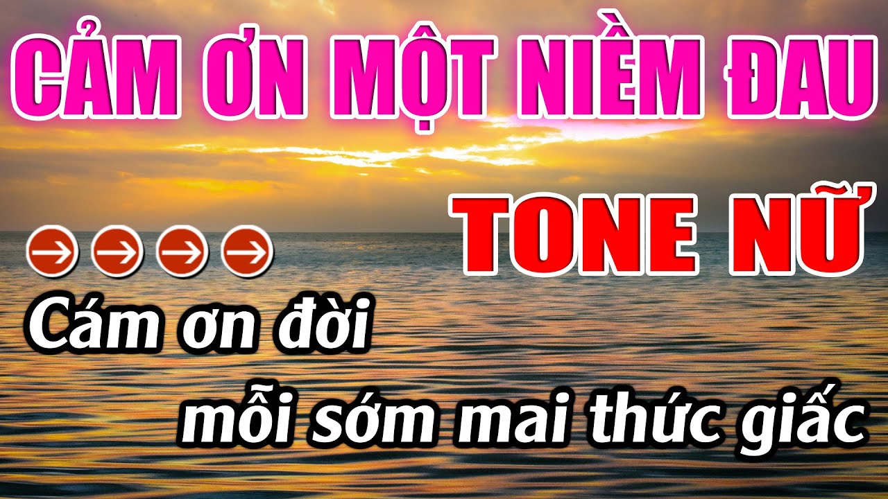 Cảm Ơn Một Niềm Đau Karaoke Tone Nữ ( Am ) Karaoke Lâm Beat - Beat Mới