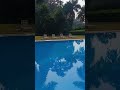 pul dekho bondhura #shortsviral #video #highlight