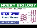 NCERT BIOLOGY - Plant Tissue | 60 MCQs | Bilingual | RRB NTPC | RRB Group D | SSC MTS | SSC GD