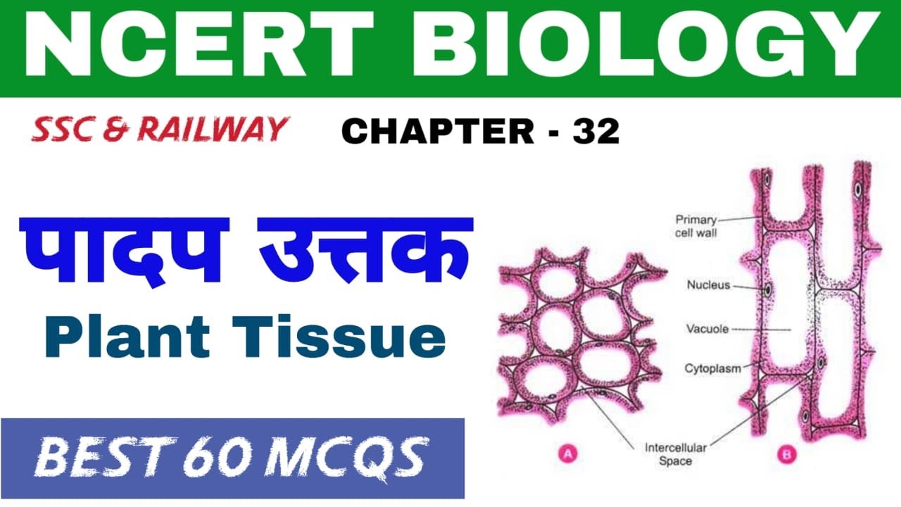 NCERT BIOLOGY - Plant Tissue | 60 MCQs | Bilingual | RRB NTPC | RRB Group D | SSC MTS | SSC GD