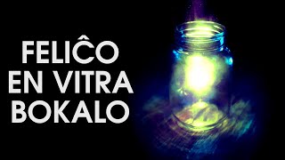 Ŝi Vendis Feliĉon en Vitraj Bokaloj