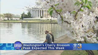 Digital Brief: April 4, 2018 (AM)