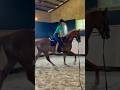 クリノガウディーのリトレーニング🐎牧場に来てからはじめての騎乗！とってもお利口でした✨ #クリノガウディー #リトレーニング #乗馬 #馬術 #馬場馬術 #yogiboヴェルサイユリゾートファーム