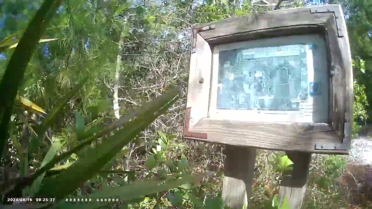 Biking Malabar Scrub Sanctuary #5