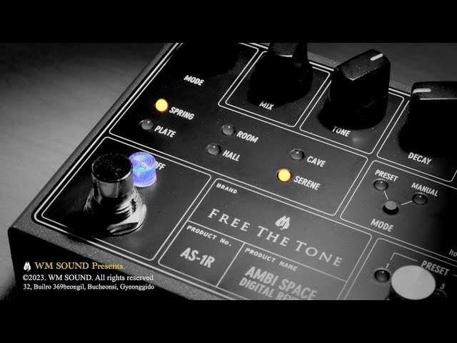 Free The Tone] AMBI SPACE Reverb with Acoustic Guitar / 프리더톤