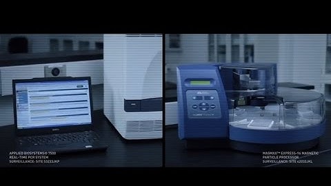 Product and Process Impurities Analysis