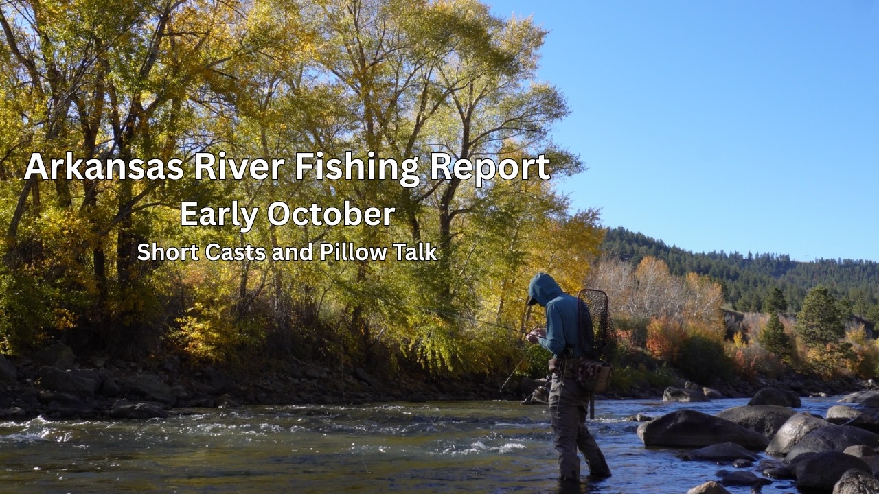 Arkansas River Fishing Report | Video | Early October, 2026