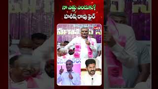 Harish Rao Slams Revanth Reddy for Political Remarks at School Function || TVA9 News
