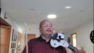 Bed of Roses on Electric Violin 2022