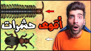 طريقة صيد الحشرات القوية حرب النمل