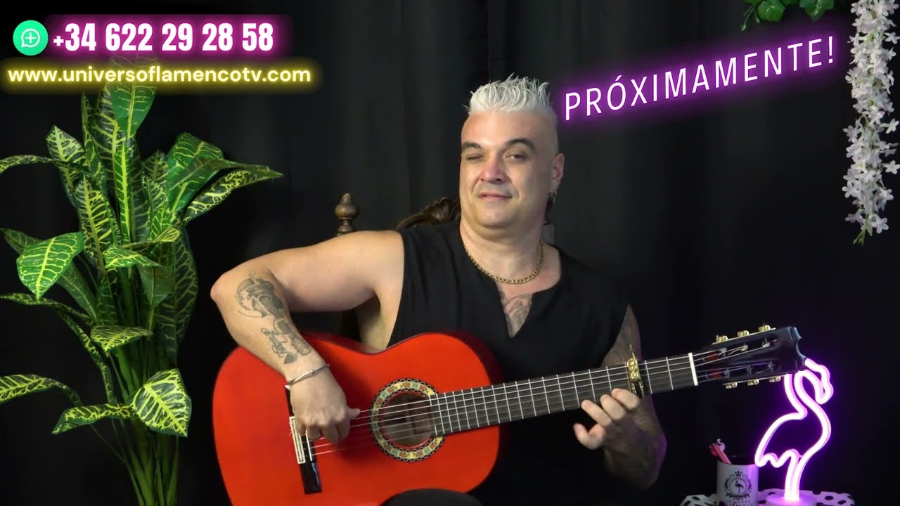 ALEGRIAS PACO DE LUCIA PICADO PRÓXIMAMENTE! EL TUTORIAL