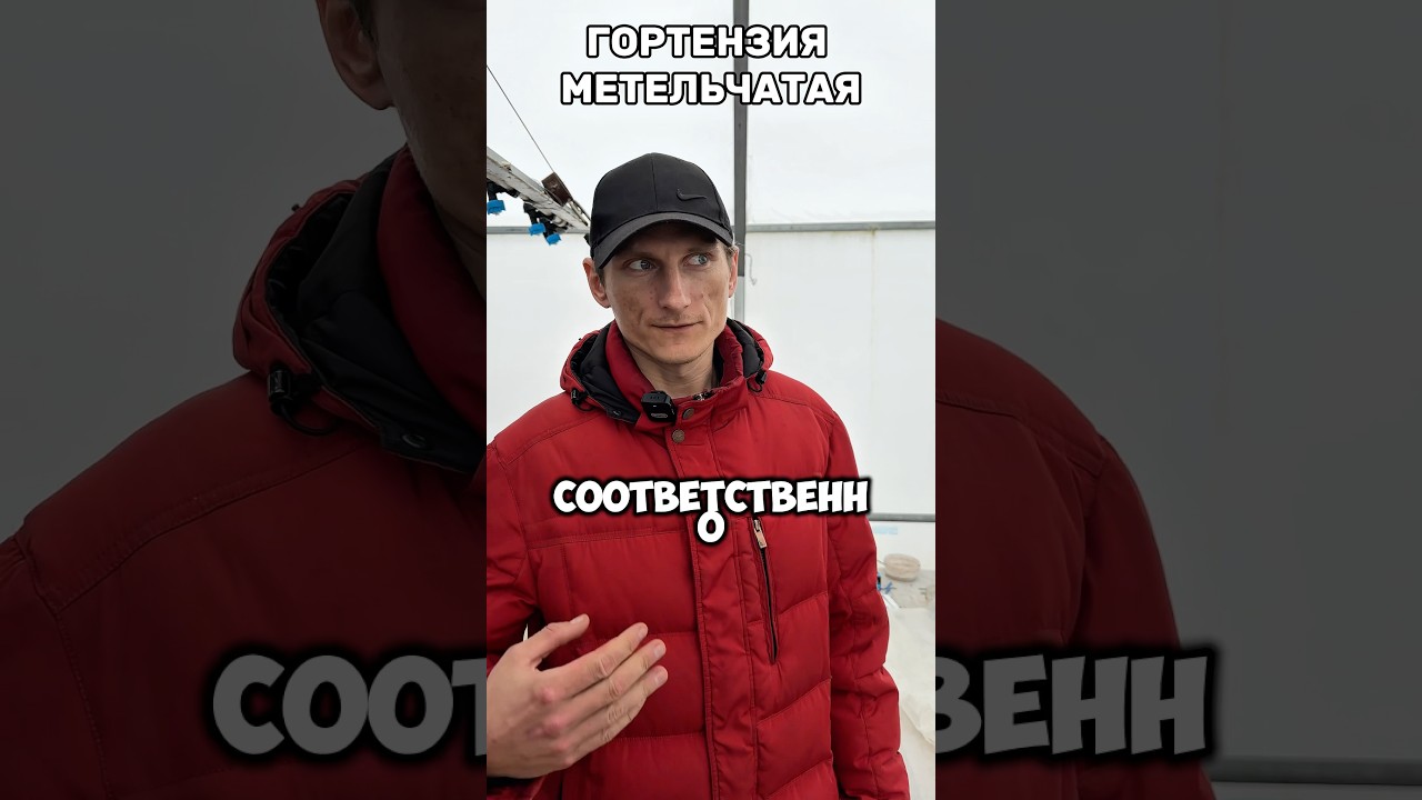 ❗️❗️ ПО ВОПРОСАМ И ЦЕНЕ:+375296011066 все мессенджеры!