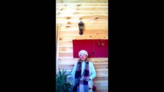 Видео НЕ ПОЗВОЛЯЮ ПОРТИТЬ СЕБЕ НАСТРОЕНИЕ-1. Секреты счастья Светланы Ермаковой (автор: Светлана Ермакова Писатель)