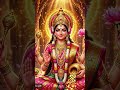 Jay maa laxmi 🙏🏻