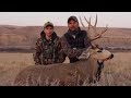 HUNTING BIG ALBERTA MULE DEER