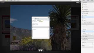 PDF Portfolio Acrobat Pro