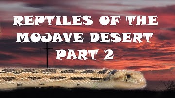 Reptiles of the Mojave Desert Part 2