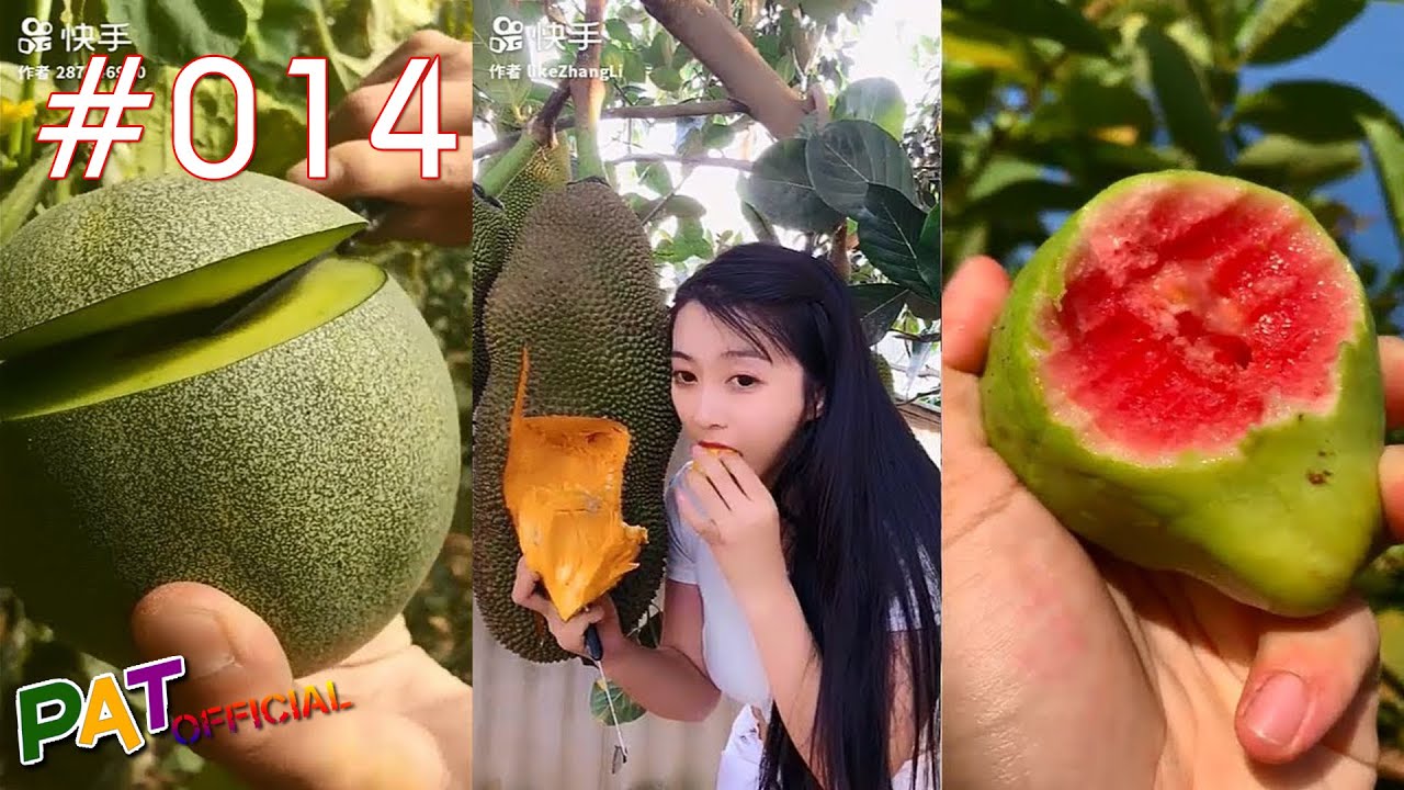 Tik Tok - Douyin China - Eat Fresh Fruits in The Garden (Wonderfull ...