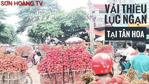 cập nhật giá vải thiều lục ngạn ngày 17/6 tại ngã ba Tân Hoa lục ngạn Bắc Giang