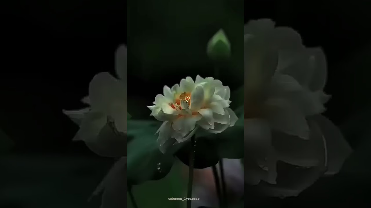 ........................ 