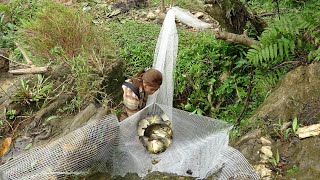 Unique Fishing Video, Catching Survival Fish, Creating Fish Traps To Catch Fish, Survival Techniques