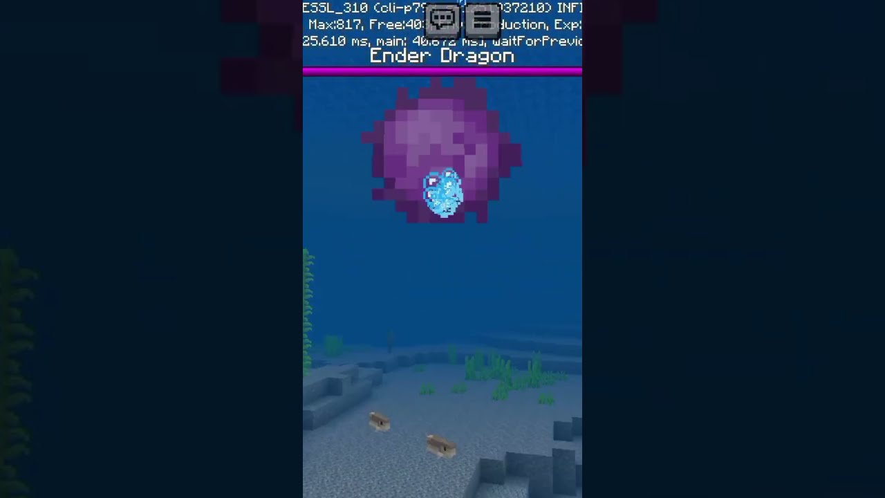 Wtf Memes Funny Helpmemakethismakesense Butifyoucloseyoureyes Ishowspeedwannabe Minecraft