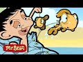 Teddy Whiffs of Fish | Mr Bean Cartoon Season 1 | Full Episodes | Mr Bean Cartoon World