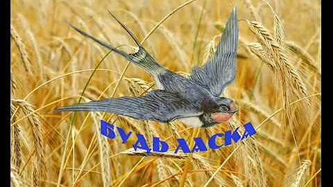 Будь ласка - правопис, як пишеться