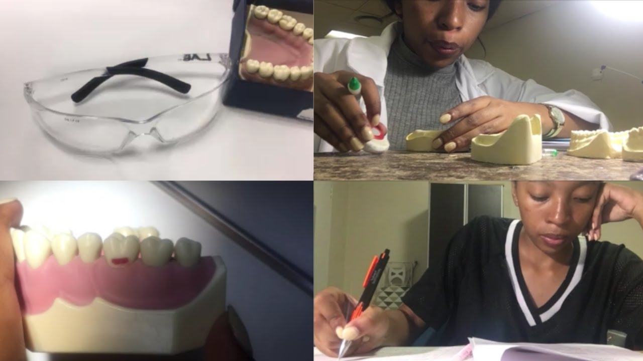 VLOG: A Day In The Life of a First Year Dental Student - YouTube