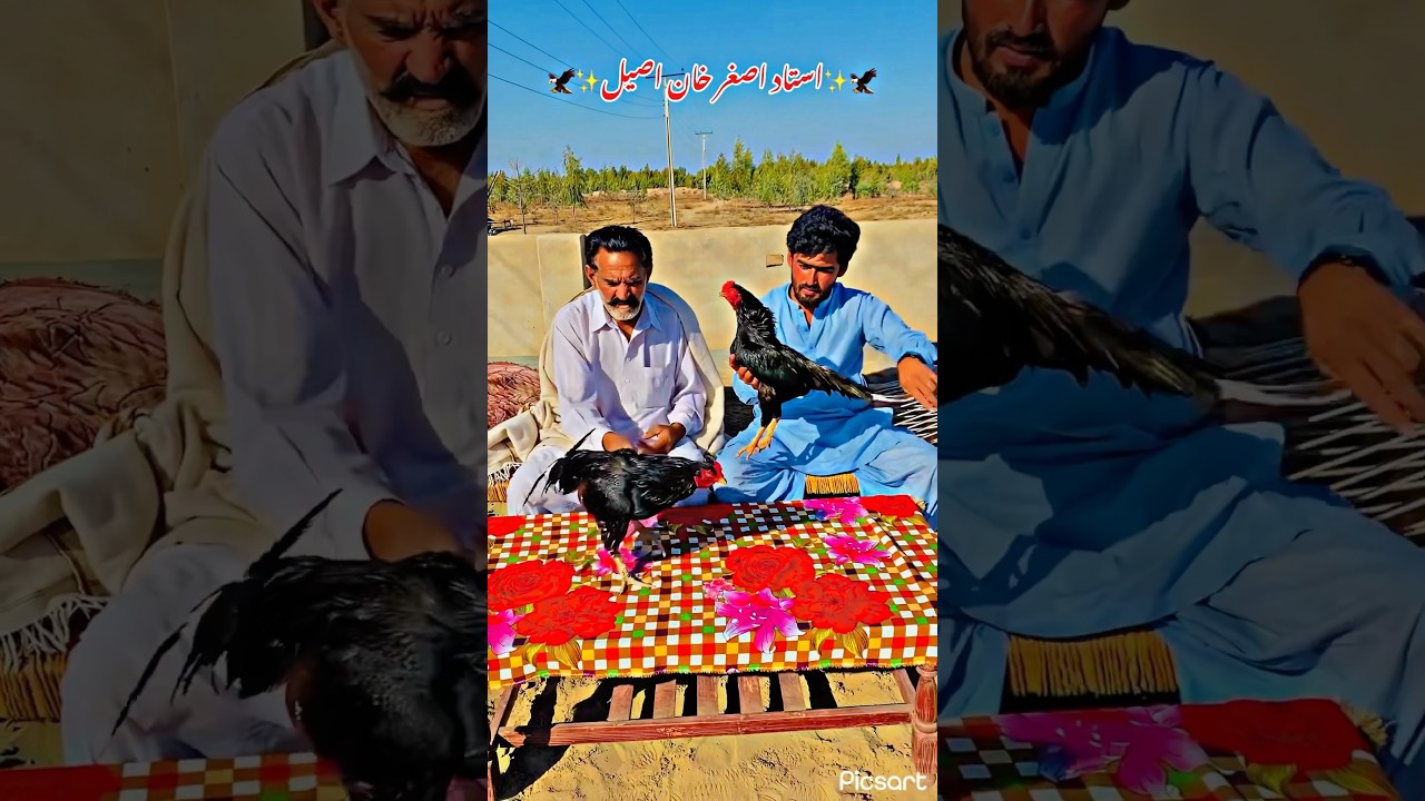 Uztaad AZGHAR KHAN brother of AHMAD KHAN on trend 🤩 