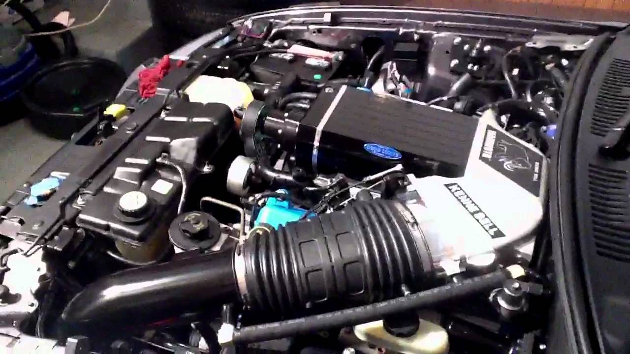 Mustang Gt Supercharger >> 03 Cobra 2.8 Kenne Bell Mammoth LC idle - YouTube Mustang Gt Supercharger >> 03 Cobra 2.8 Kenne Bell Mammoth LC idle - YouTube