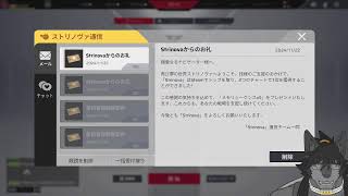 なんかする配信