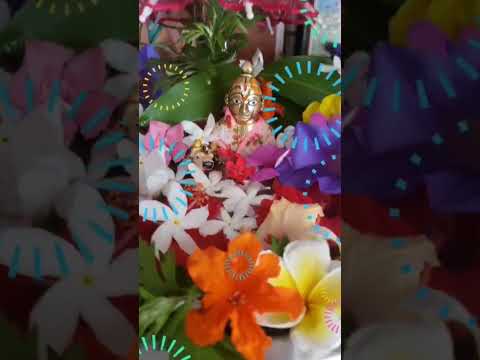 krishna khele holi