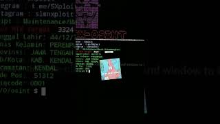 Osint NIK, Tools cek vid yt full #osint #doxxing #doxxed #termuz #termuxtool #termuxtutorials