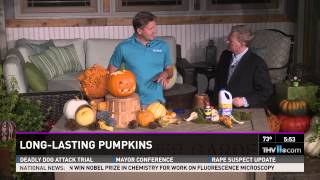 Long-lasting pumpkins