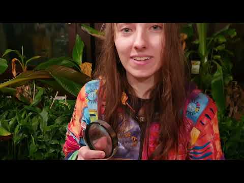 Video: Zierkohl. Schädlingsbekämpfung