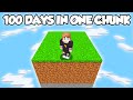 I survived 100 days in one chunk in minecraft hardcore