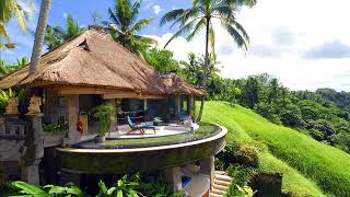 STEVEN SOLVEIG- Sealife