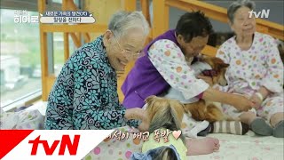 LITTLE BIG HEROS 사람과 동물이 공존하는 또 하나의 방법, 동물매개치료 180611 EP.129