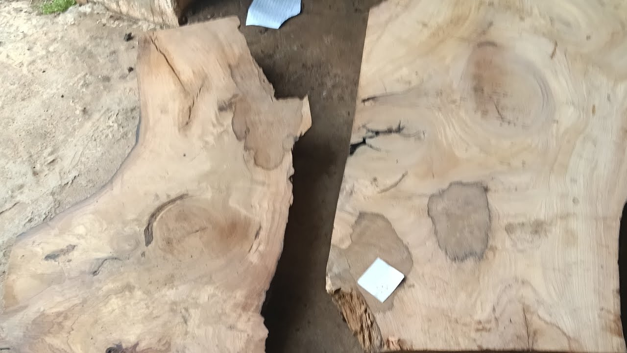 EM TÌNH CHÀO CẢ NHÀ 0383456504 TRƯA 2/3