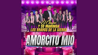 Video thumbnail of "El Chapo y su Marimba los Bravos de la Sierra - Amorcito Mío"