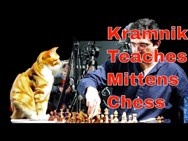 How Kramnik Taught Mittens Chess 