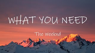 The Weeknd - What You Need (Lyrics) Resimi