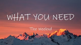 The Weeknd - What You Need (Lyrics)